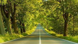 Hd Wallpapers Free Download 1 Jpg 1920 1080 Desktop Background Nature Nature Desktop Landscape Wallpaper