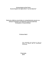 Universidade de São Paulo