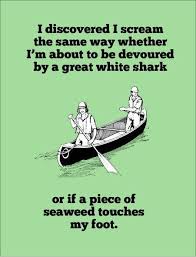Funny Swimming Picture Sharks Or Seaweed Funny Quotes Humor Funny