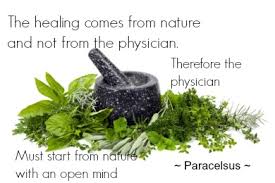 Common Herbs and their Uses - Medicinal Uses for Herbs via Relatably.com