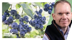 Neil Holmes (@NeilSFAgronomy)