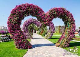 Check spelling or type a new query. Ø§Ø´Ø¬Ø§Ø± Ø·Ø¨ÙŠØ¹ÙŠÙ‡ Ø§Ø²Ù‡Ø§Ø± Ø¬Ù…ÙŠÙ„Ù‡ Ø§Ù†ÙˆØ§Ø¹ Ù…Ø®ØªÙ„ÙÙ‡ Ù…Ù† Ø§Ù„Ø²Ù‡ÙˆØ± Ø§Ù„Ù…Ù„ÙˆÙ†Ù‡ Ø§Ù„Ø·Ø¨ÙŠØ¹ÙŠÙ‡ Fatma7072