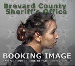 Arrests In Brevard County: February 15, 2019
