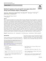 Vincy wong is on facebook. Pdf Multilevel Regulation Of Muscle Specific Transcription Factor Hlh 1 During Caenorhabditis Elegans Embryogenesis