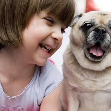Up to 90% back on bills. Compare Pet Insurance Plans Aspca Pet Insurance