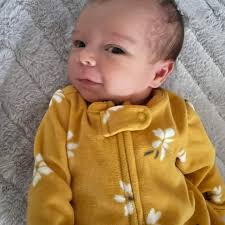 LOOK OUT ALERT! For my 14 year old sun conure... I live off of rt28 in  Kings Grant Moblie Park... She flew away Saturday afternoon about 3pm.  Please call me if you