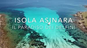 See 122 reviews, articles, and 182 photos of asinaraland, ranked no.1 on tripadvisor among 12 attractions in asinara. Isola Asinara Il Paradiso Dei Delfini Youtube