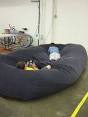 Bean Bags Chairs Bean Bags For Sale Online m