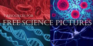 نتیجه جستجوی لغت [science] در گوگل