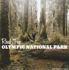 Road Trip Olympic National Park Northwest Tripfinder