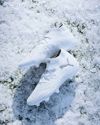 Image result for Puma 8