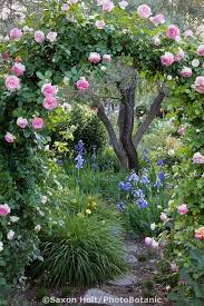 Happiness Is A Journey Not A Destination Beautiful Gardens Cottage Garden Gorgeous Gardens