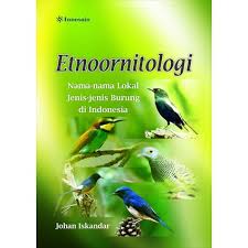 Murai batu merupakan jenis burung yang memiliki banyak peminat dari kalangan kicaumania indonesia, dimana kelebihan yang dimiliki oleh burung tersebut menjadi daya tarik tersendiri untuk di pelihara. Etnoornitology Names Of Local Name Type Bird Type In Indonesia Etnoornitologi Nama Nama Lokal Jenis Jenis Burung Di Indonesia Shopee Malaysia