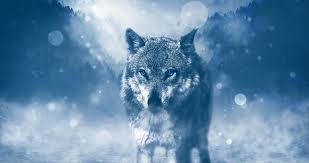 96 dpi means there are 96 pixels per inch. 100 000 Free Animal Pictures Images In Hd Pixabay