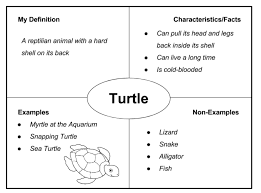 Image Result For Frayer Model Examples Professional Templates Interactive Math Journals Graphic Organizers