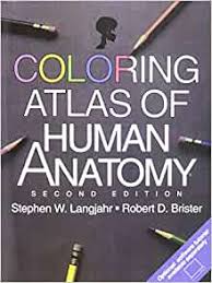 Atlas of anatomy, third edition, is the highest quality anatomy atlas available today. Coloring Atlas Of Human Anatomy 2nd Edition 9780805340204 Medicine Health Science Books Amazon Com