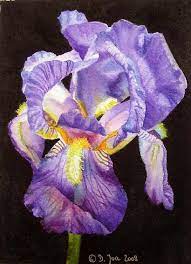 Rose Paintings And Flower Paintings In Watercolor And Oil Flower Painting Iris Painting Rose Painting