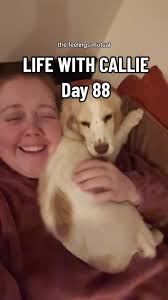 DAY 88: SNUGGLE MODE ✅ Can a spaniel ever truly be close enough to your  head? Asking for a friend 🤣 But seriously I feel very lucky to have a  puppy that loves a cuddle just as much as I do! Today was ...