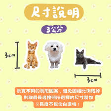 【貓星閣】少量可做 客製化 寵物貼紙 防水貼紙 大頭貼紙 人形貼紙 行李箱貼紙 安全帽貼紙 機車貼紙 客製貼紙 文創貼紙