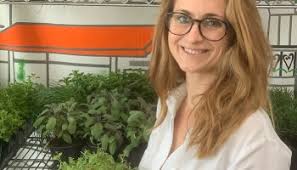 Eggshells in the Garden| Deter Pests & Fertilize your Garden