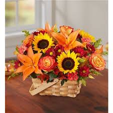 Check spelling or type a new query. Tucson Az Same Day Same Day Flower Delivery Delivery Send A Gift Today Roses More