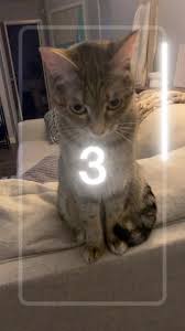 Bailey Jetton (@baileyjetton)