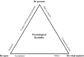 Three case studies exemplifying a unified. Psychological Flexibility An Overview Sciencedirect Topics