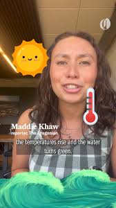 Nominating the Best Doughnuts in Portland for The Oregonian's Readers  Choice Awards