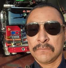 Como se llaman estos gusanos peludos? Que pasa si se tocan?