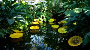 Winter garden is a city located 14 miles west of downtown orlando in the western part of orange county, florida, united states. Sm4wemetv5ezqm