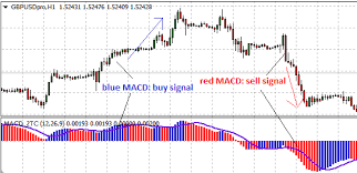 Coloured Macd Indicator Explained Investoo Com Trading