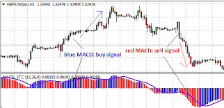 coloured macd indicator explained investoo com trading