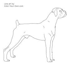 1280x1651 free coloring pages of how to draw dogs. Boxer Dog Line Art Novocom Top