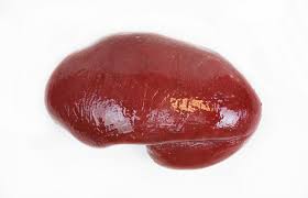 Check spelling or type a new query. Ajaibnya Ternyata Manusia Tetap Bisa Hidup Tanpa 7 Organ Tubuh Ini Lho