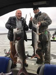 They can be caught by snagging them with a large treble hook from shore or boat. Paddlefish Spoonbill Fishing Ok Trips4trade
