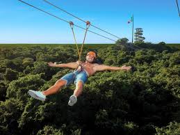 Tirolesa do dossel da floresta para a água. 12 Actividades Para Desafiar Tus Limites Con Xcaret Adventure Entorno Turistico