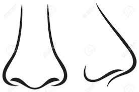 Furniture For Storage Toys Nose Drawing Cartoon Clip Art Cartoon Noses