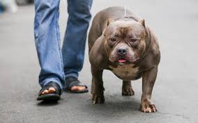 (think std and body image campaigns.) Ä'an Cho Gia Chá»¥c Nghin Ä'o Cá»§a NgÆ°á»i Ä'an Ong Sai Gon Tin Tá»©c Má»i Nháº¥t 24h Ä'á»c Bao Lao Ä'á»ng Online Laodong Vn