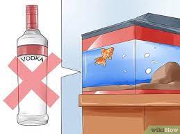 Fish surgery is possible, but it is rare to find someone willing to do it. 3 Ways To Humanely Kill A Fish Wikihow