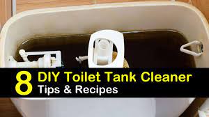 How often to clean the toilet tank. 8 Simple Diy Ways To Clean A Toilet Tank