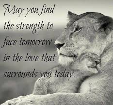 Pin By Linda Imes On Quotes Lioness Quotes Lion Quotes Quotes About Strength