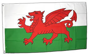 Der wal ist, als eines der größten meeressäugetiere, ein wappentier besonderer art. Die Wales Flagge Und Ihre Legende
