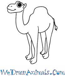 Click on the camel to go to camel science facts! How To Draw A Cartoon Camel