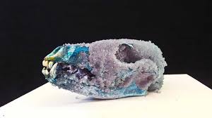 نتیجه جستجوی لغت [crystallized] در گوگل