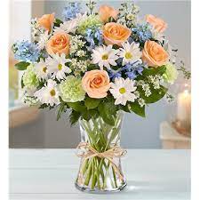 Maybe you would like to learn more about one of these? 1 800 Flowers Summer Dunes Iowa City Ia