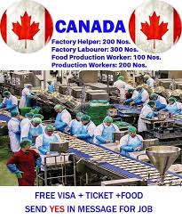 You can always depend on our regularly updated list. Work Visa For Dubai Uae Kuwait Malaysia Saudia Oman Qatar Facebook