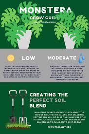 Monstera Grow Guide In 2020 Monstera Deliciosa Care Monstera Monstera Deliciosa