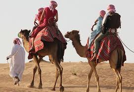 Skip the hassle of transport and logistical planning; Evening Red Dune Desert Safari With Bbq Dinner And Camel Ride