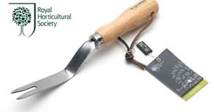 Daisy Grubber Rhs Endorsed Rhs Stainless Steel Tools Weeder