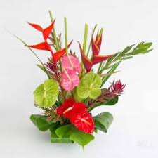 We deliver to all major cities in the. Alii Flowers Hawaiian Flowers Fresh Leis Gift Baskets